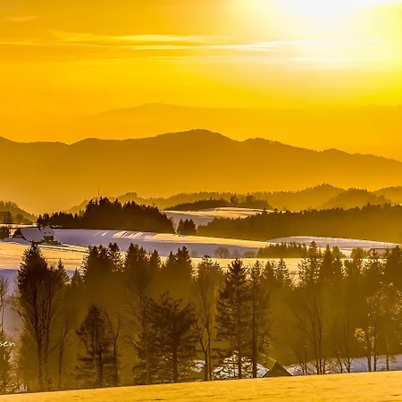 Blumbach Nr 4, Schluchsee, Feldberg Schluchsee