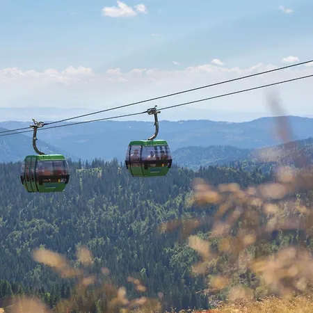 Blumbach Nr 4, Schluchsee, Feldberg Daire *