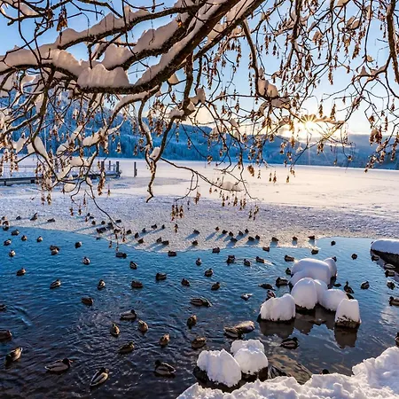 Blumbach Nr 4, Schluchsee, Feldberg * Schluchsee