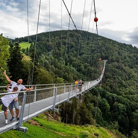 Daire Blumbach Nr 4, Schluchsee, Feldberg *