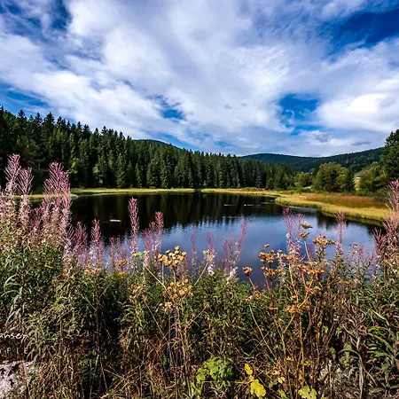 Blumbach Nr 4, Schluchsee, Feldberg *