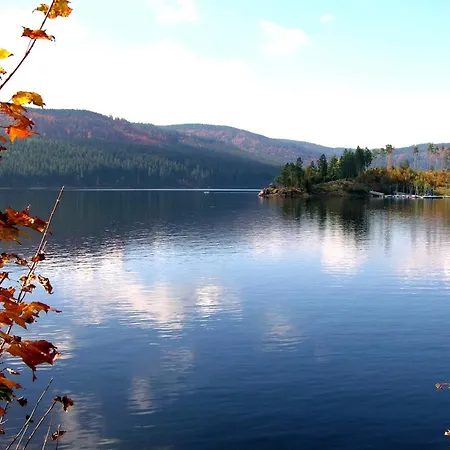 Blumbach Nr 4, Schluchsee, Feldberg